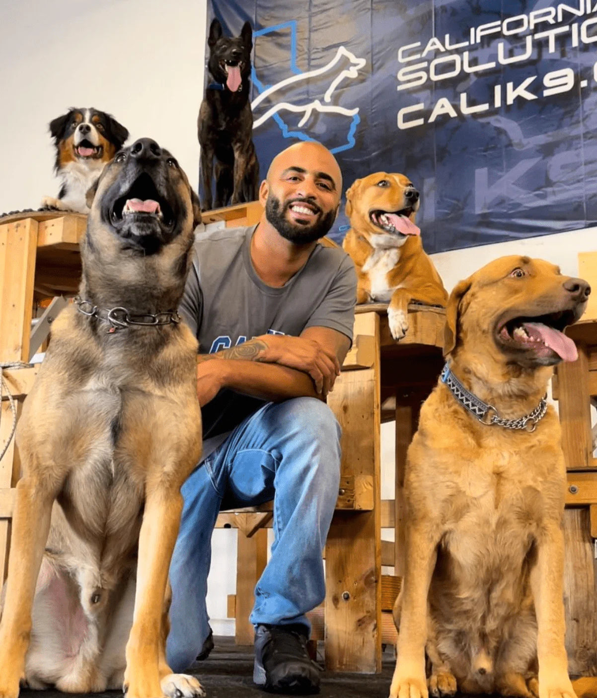 jas-and-dogs-board-and-train-1677694807732.webp